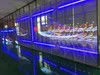 LED Video Wall with Glass Transparent Panels