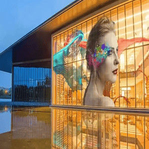 P16 3D LED Transparent Flexible Display Screen for Outdoor Retail Store Advertising Panel for Window Glass